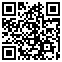 盛聯策略整合科技有限公司