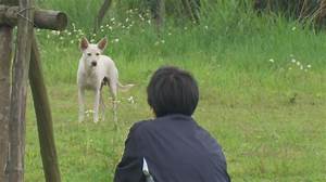 台中市 秉誠聯合法律事務所的工商資訊 事務所 黃頁都