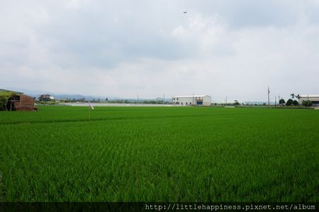 一起發現台南吧｜東山咖啡公路之旅．175縣道．柑園咖啡